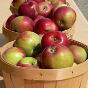 Verger La Pommalbonne-Compton必去景点