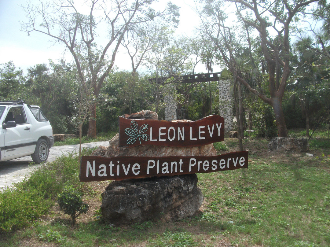 Leon Levy Native Plant Preserve景点图片