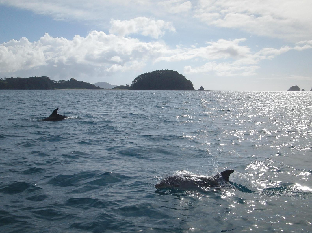 Strayline Fishing Charters-派希亚必去景点