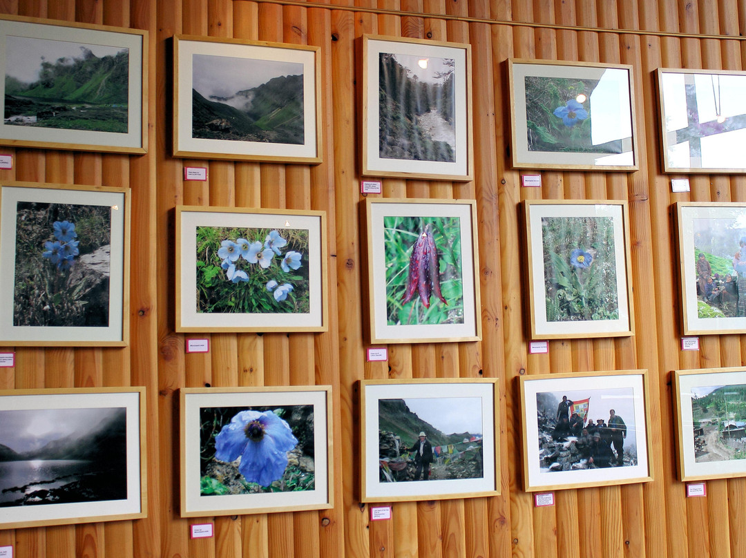 Explorers' Garden at Pitlochry Theatre-皮特洛赫里必去景点