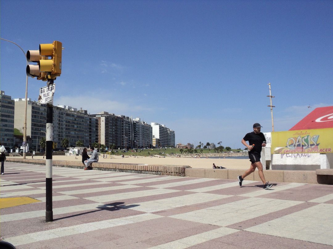 蒙得维的亚兰布拉大道-蒙得维的亚必去景点