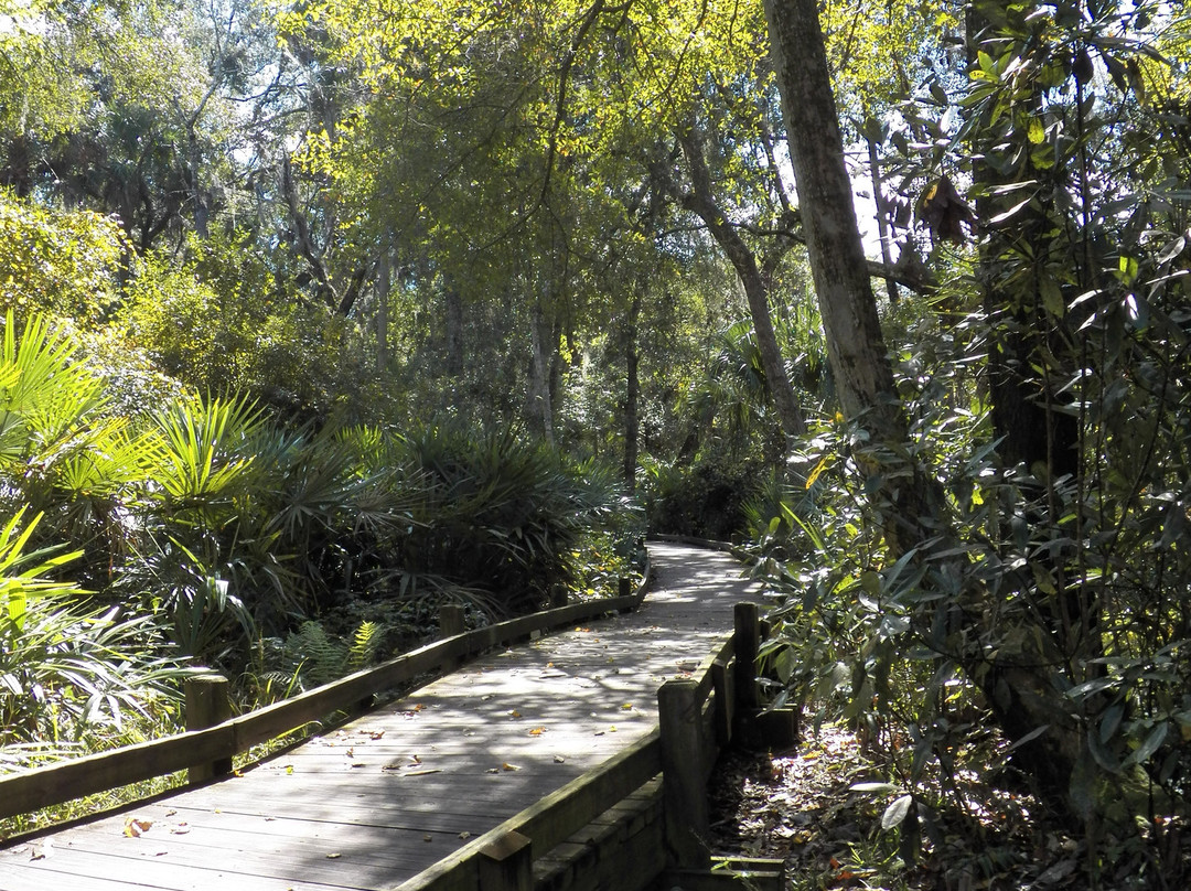 Ocala National Forest-Umatilla必去景点