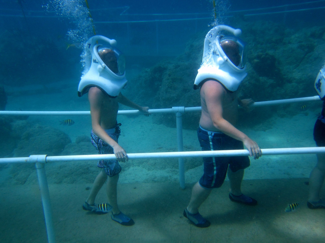 Sea Trek St. Maarten景点图片
