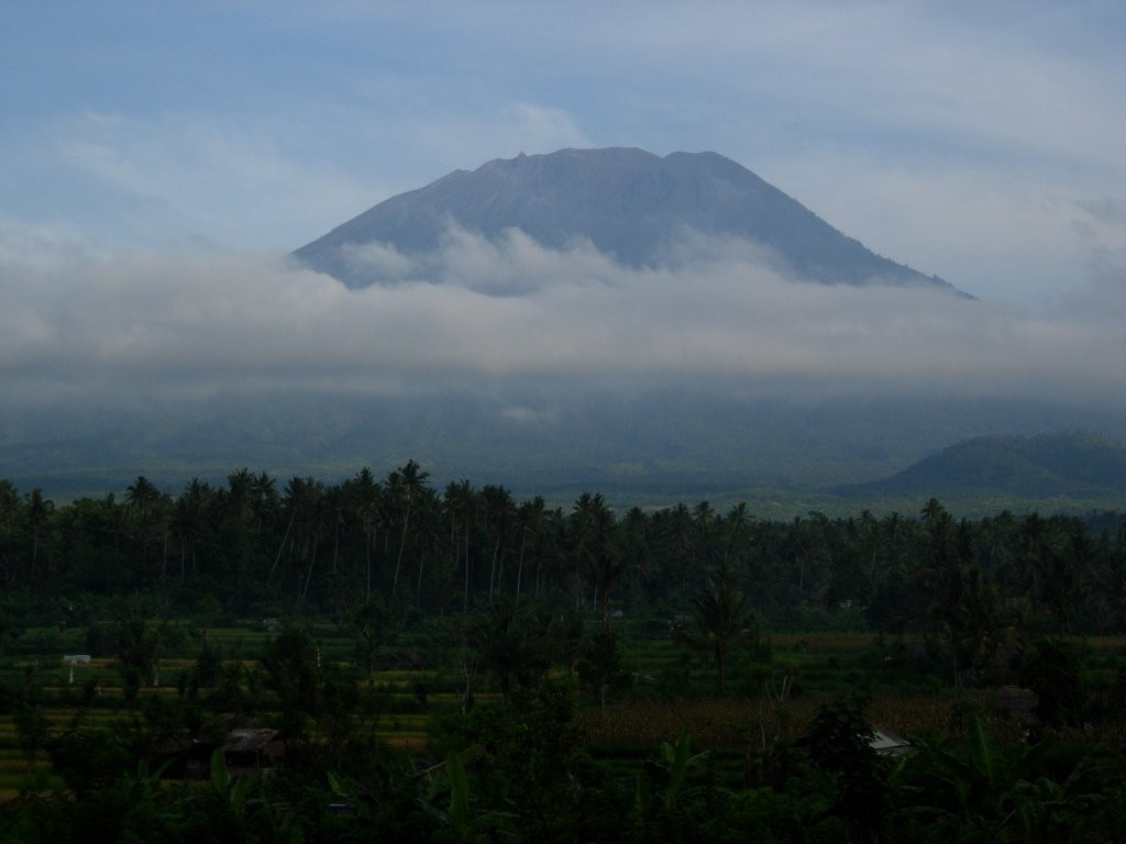 Side By Side Organic Farm-卡朗阿森必去景点