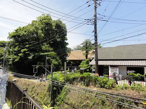 Gokurakuji Temple-镰仓市必去景点