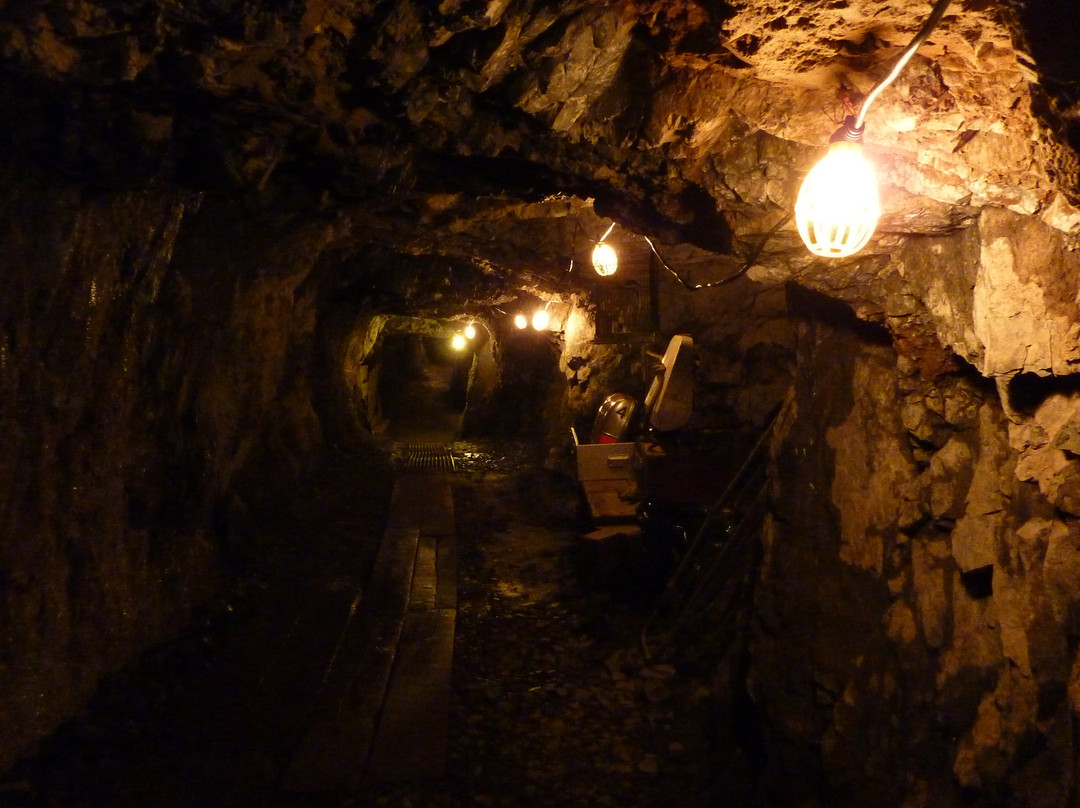 Sierra Silver Mine Tour-Wallace必去景点