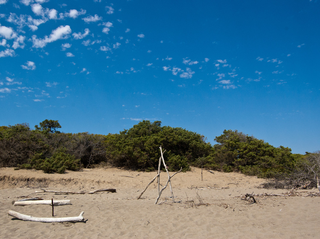 Marina di Alberese景点图片