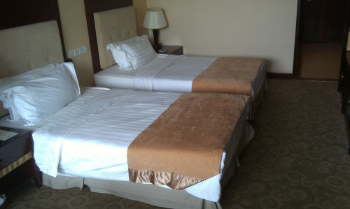 赤峰瑞享玉龙国宾馆主图