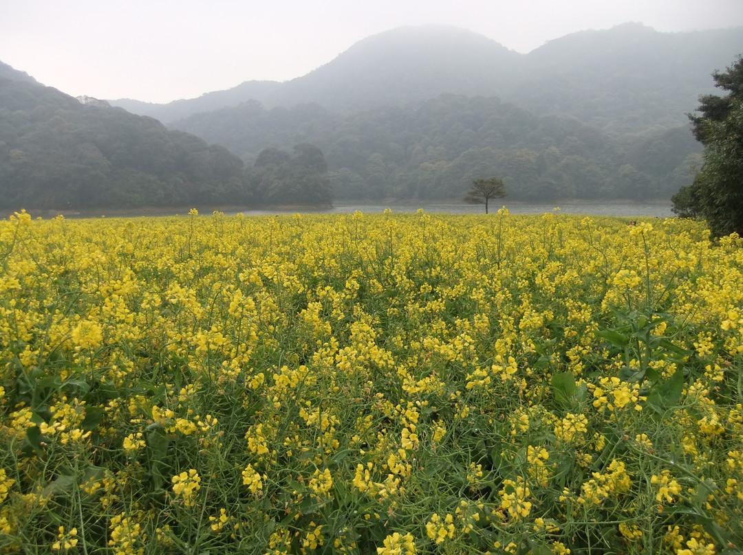 石门森林公园-从化市必去景点