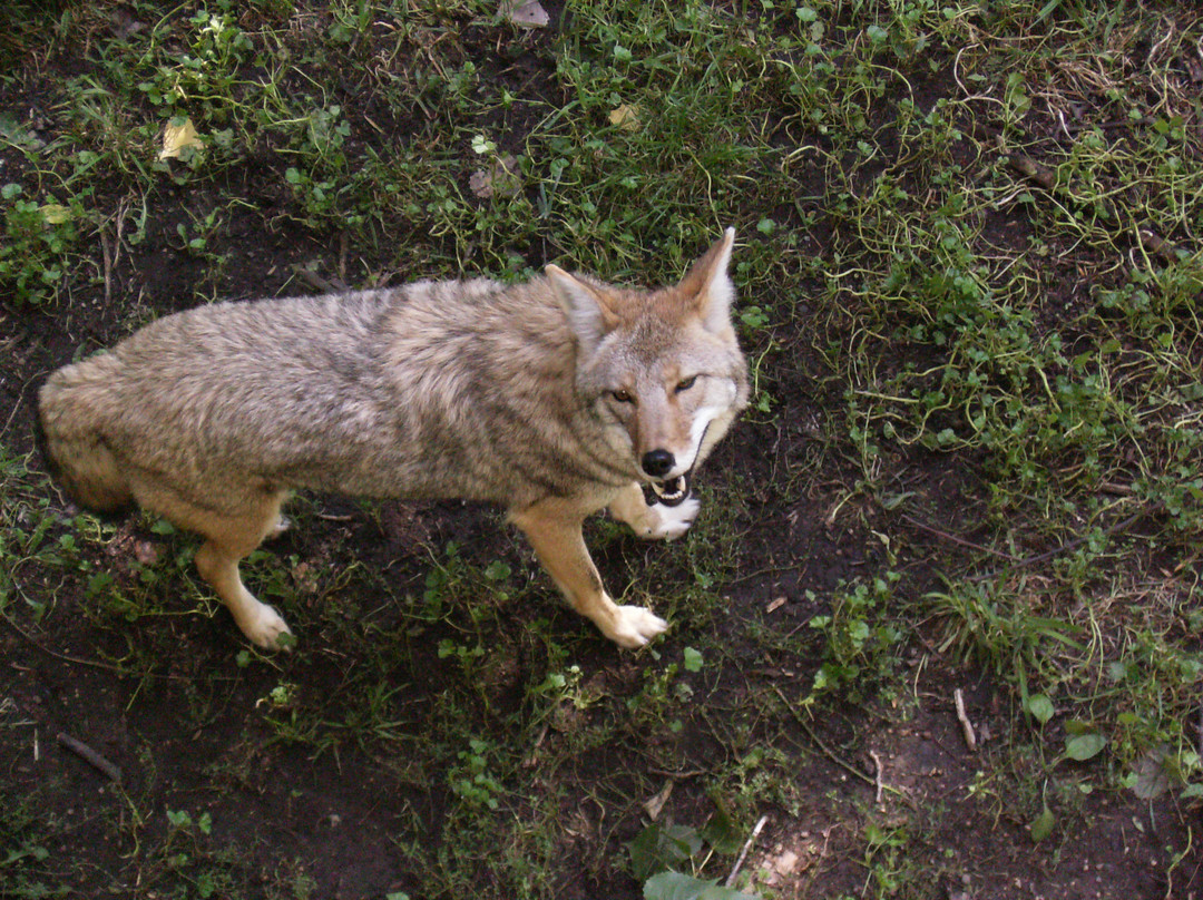 Bay Beach Wildlife Sanctuary-格林贝必去景点