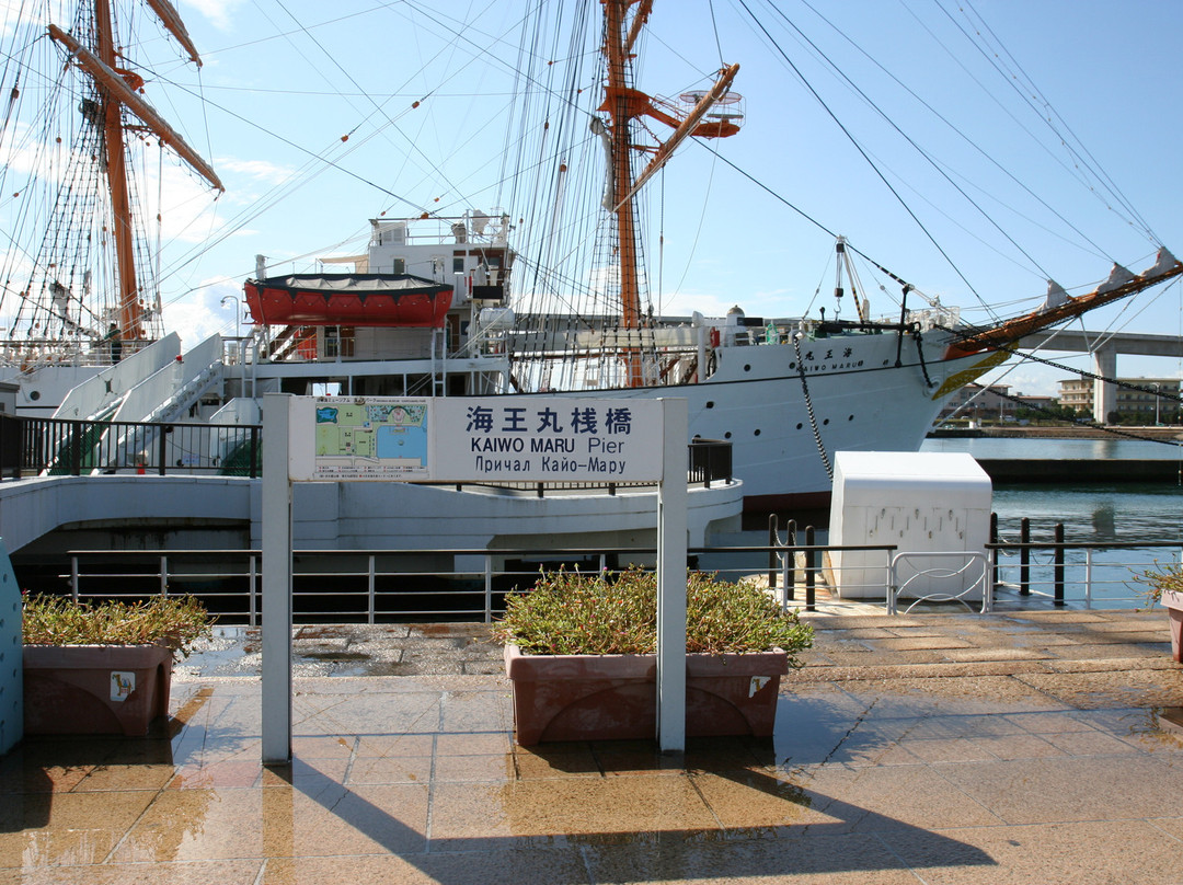 Kaiomaru Park景点图片