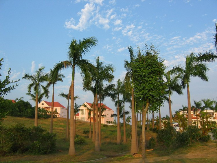 香江温泉度假村主图