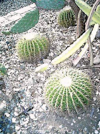 Jardin Botánico Nacional-圣多明哥必去景点