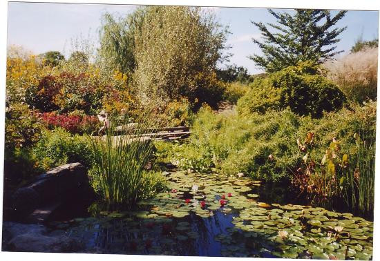 奥布里希热带植物园-麦迪逊必去景点