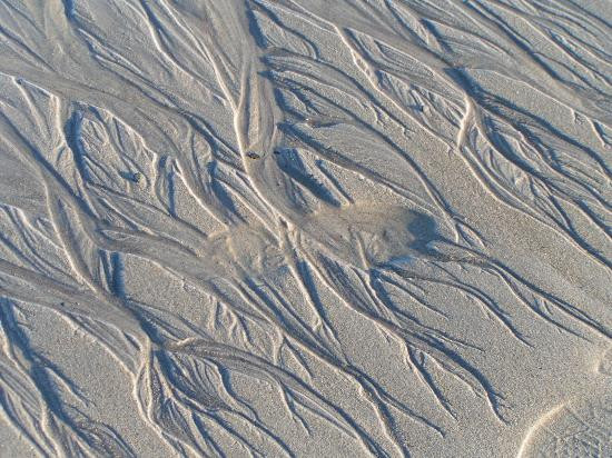Hampton Beach State Park-汉普顿必去景点