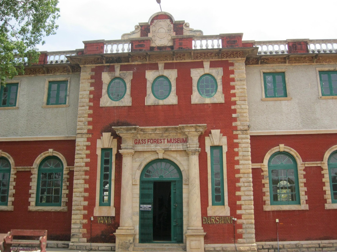 Gass Forest Museum-孔巴托必去景点