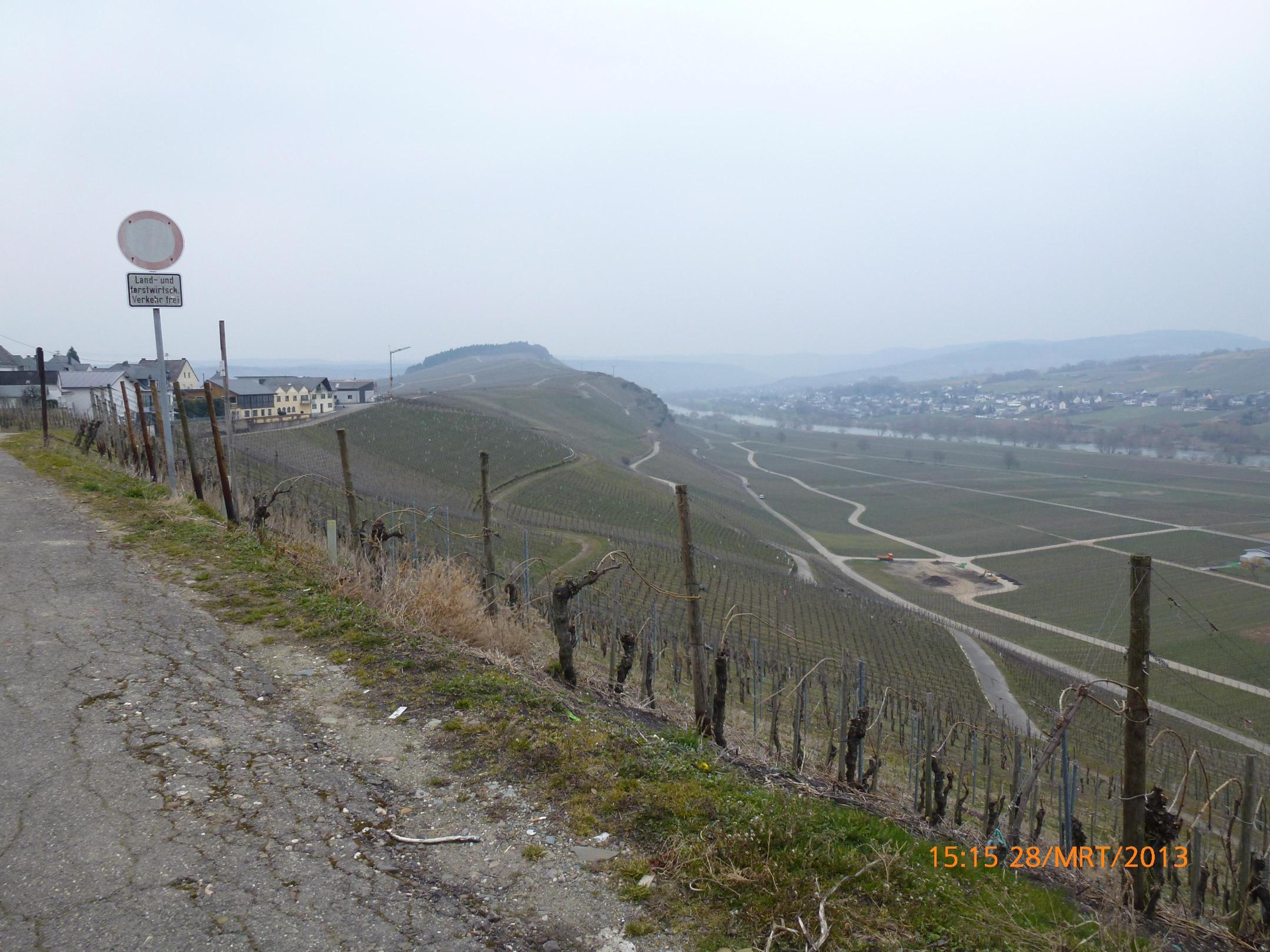 Kelterhaus-酒店景观