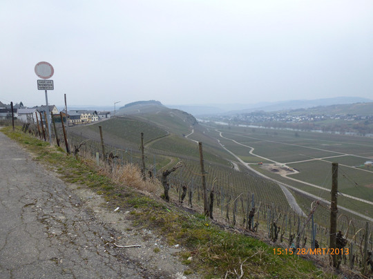 Osann-Monzel酒店住宿-Kelterhaus