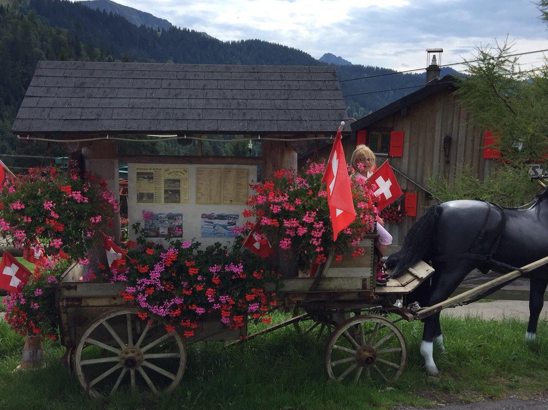 Chatel-Saint Denis旅游攻略图片
