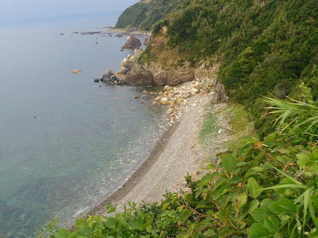 Tomioka Marine Park景点图片