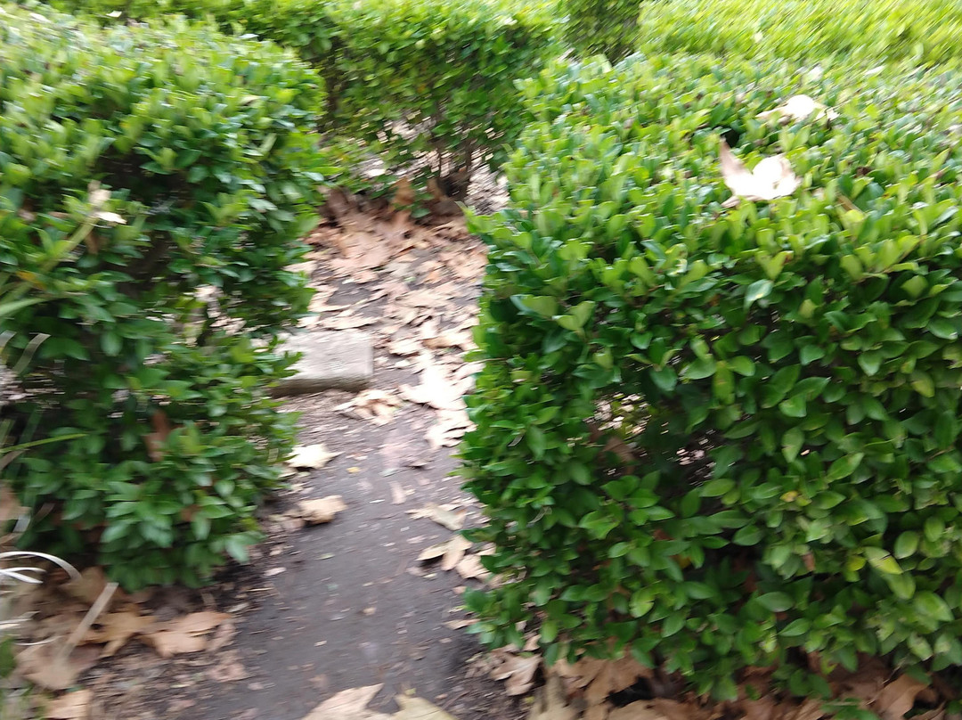 Oso Creek Trail-米逊维耶荷必去景点