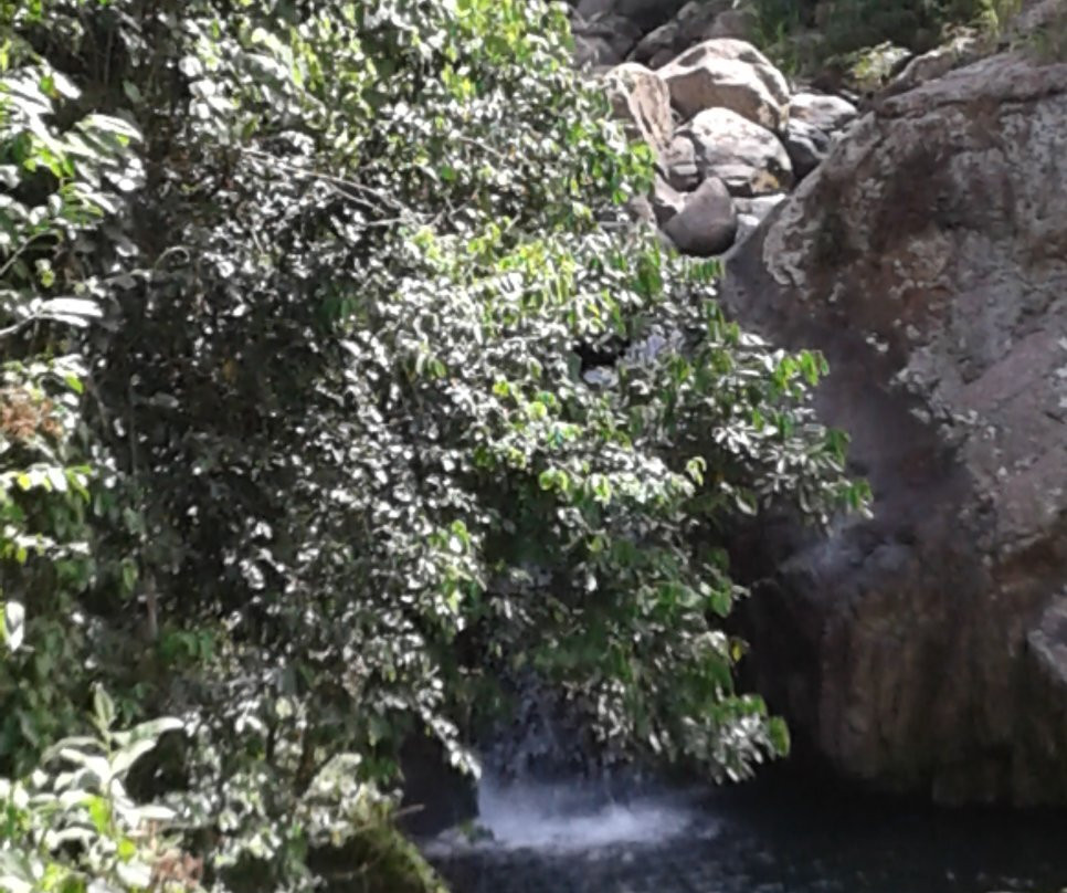 Charco La Nuez-Adjuntas必去景点