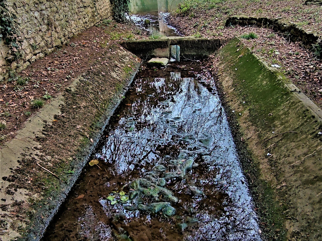 Pont de Savigné-Savigne必去景点