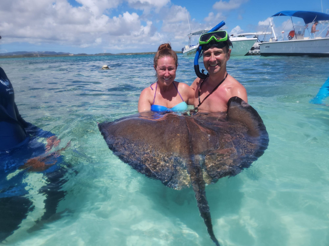 NexusTours Antigua-Jolly Harbour必去景点
