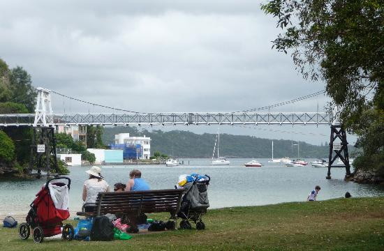 Real Sydney Tours景点图片