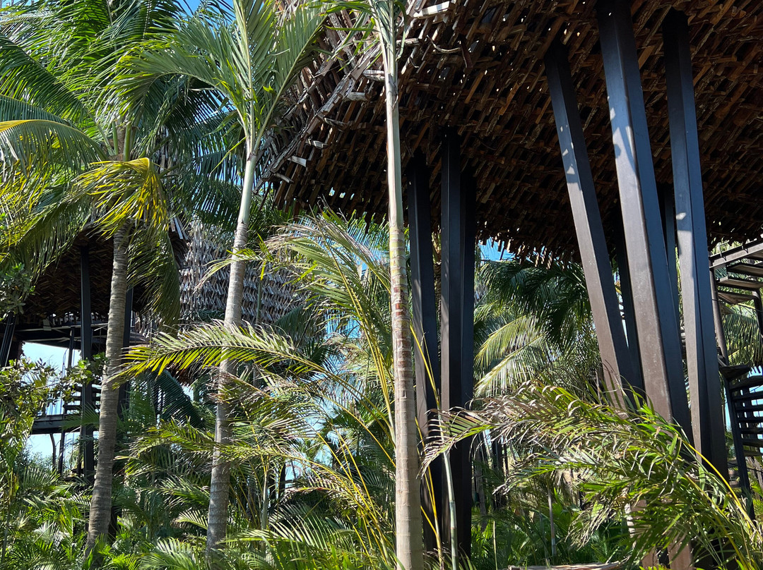 Nômade Temple Holbox主图