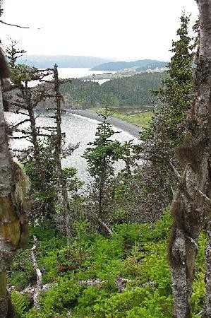 Skerwink Trail景点图片