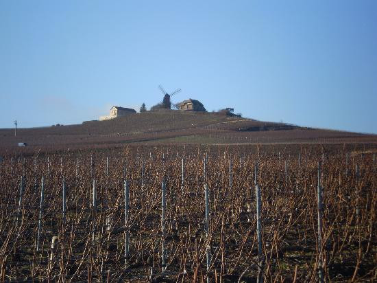 Paris Champagne Tour-巴黎必去景点