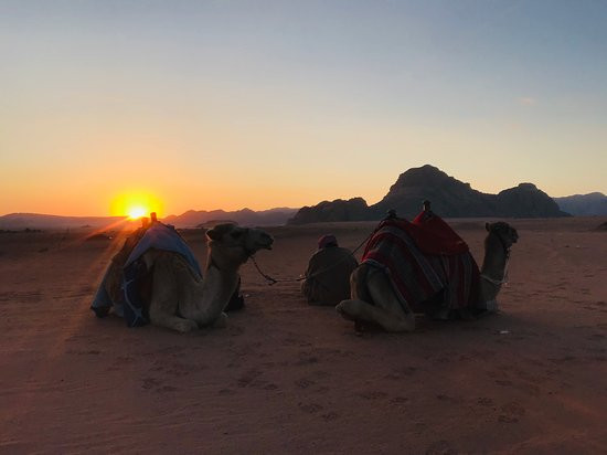 Bedouin Life Tours-佩特拉必去景点
