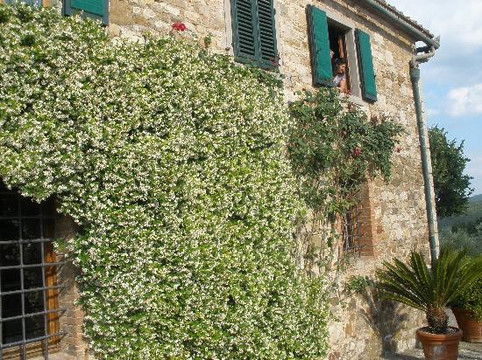 托斯卡纳密室逃脱—一日游-锡耶纳必去景点