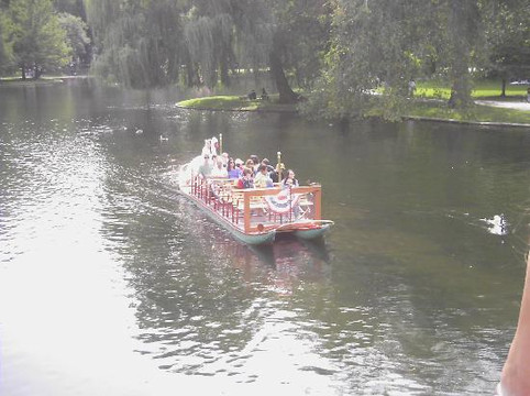 Swan Boats-波士顿必去景点