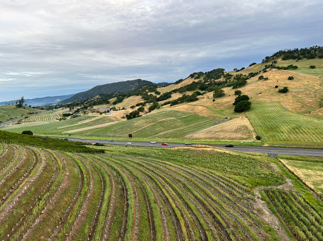 Sonoma Ballooning Adventures景点图片