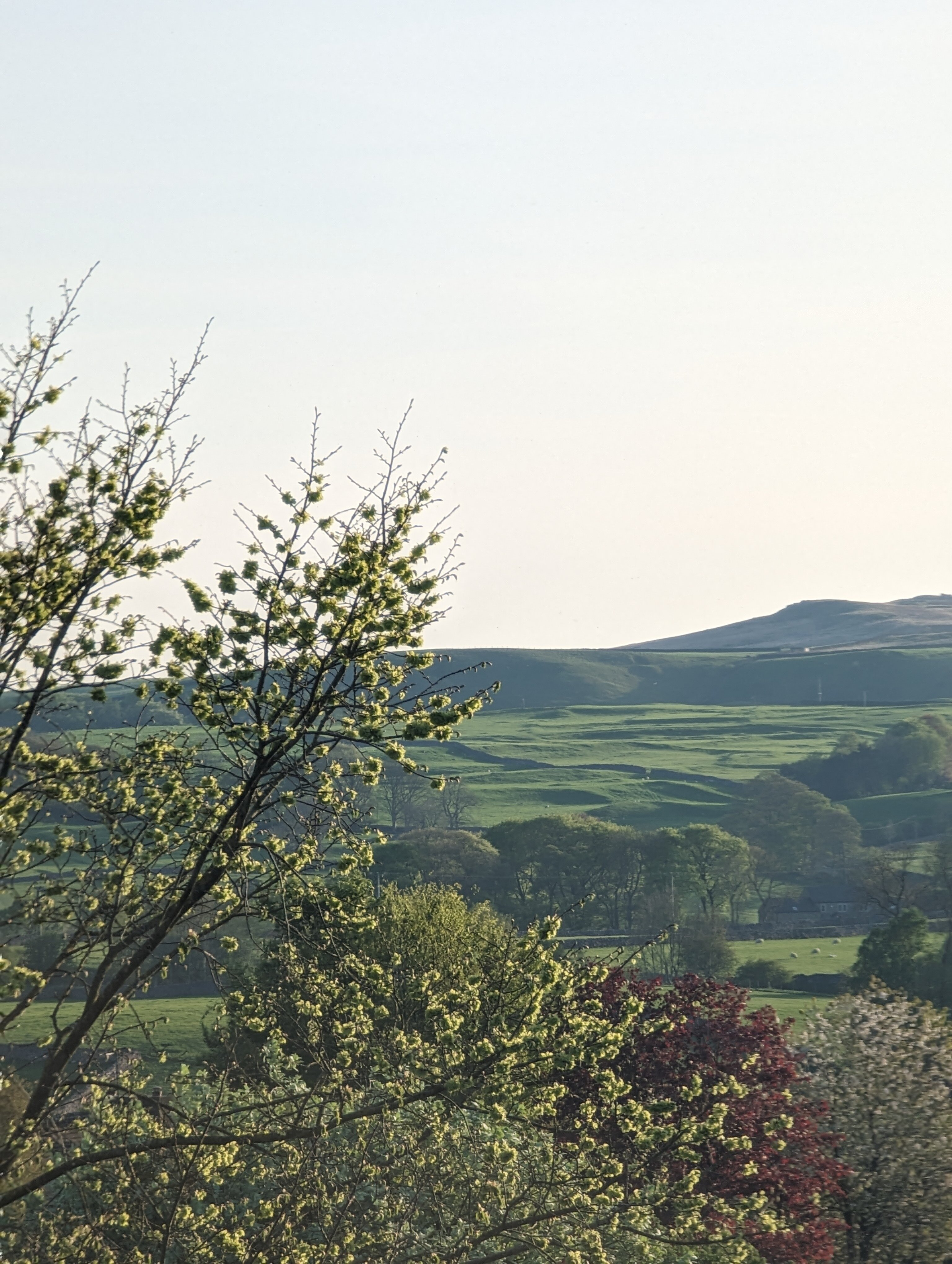 Grassington Lodge-客卧