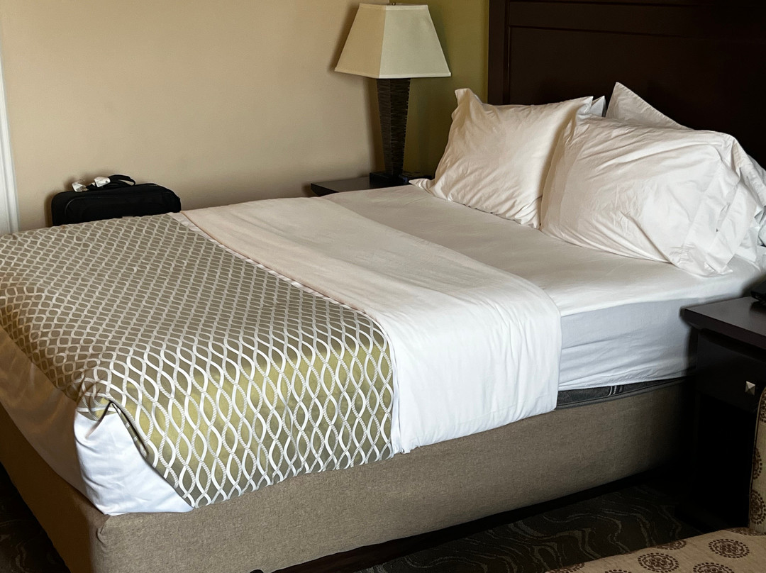 Best Western Plus Mirage Hotel & Resort主图