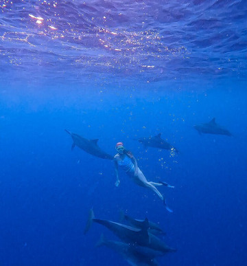 Ocean Brothers Mauritius-塔玛琳必去景点