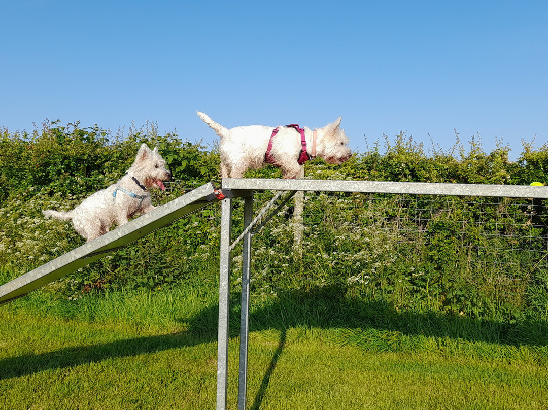Ayrshire K9 play park景点图片