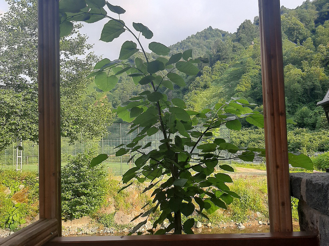 Teona Çağlayan Bungalov主图