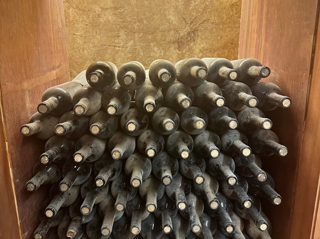 Vina San Pedro景点图片