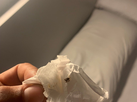 Charming Beach Studios