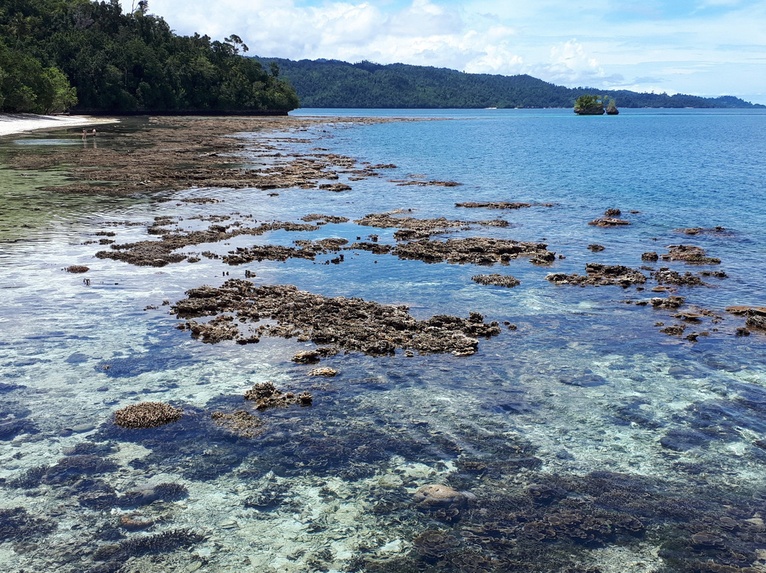 Raja Ampat Biodiversity Nature Resort主图