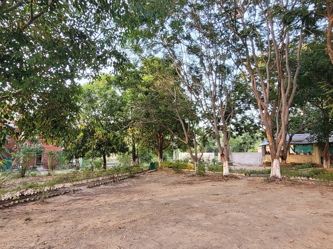 Tribal Woods Kanha主图