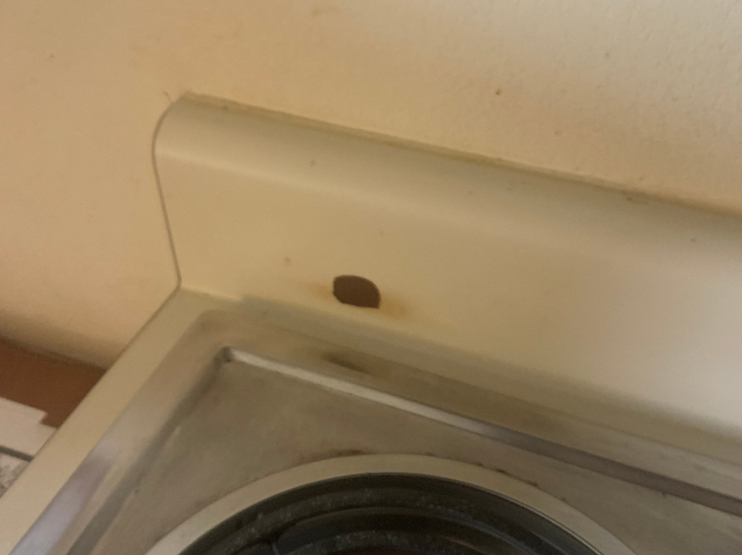 锡拉丘兹机场烛木套房酒店主图