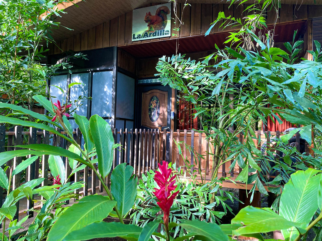 Heliconias Nature Inn & Hot Springs主图