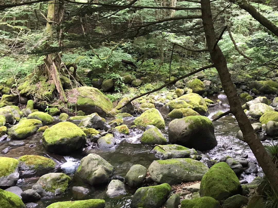 Shojinsawa Spring-盐谷町必去景点