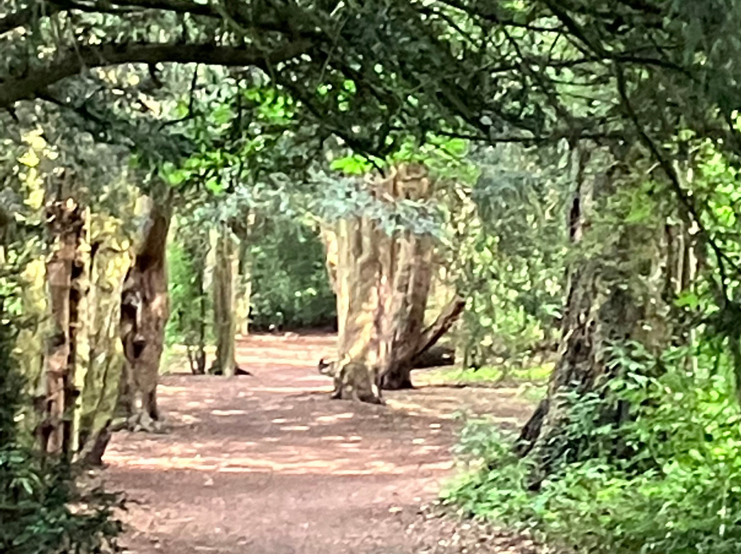 Markeaton Park-德比必去景点