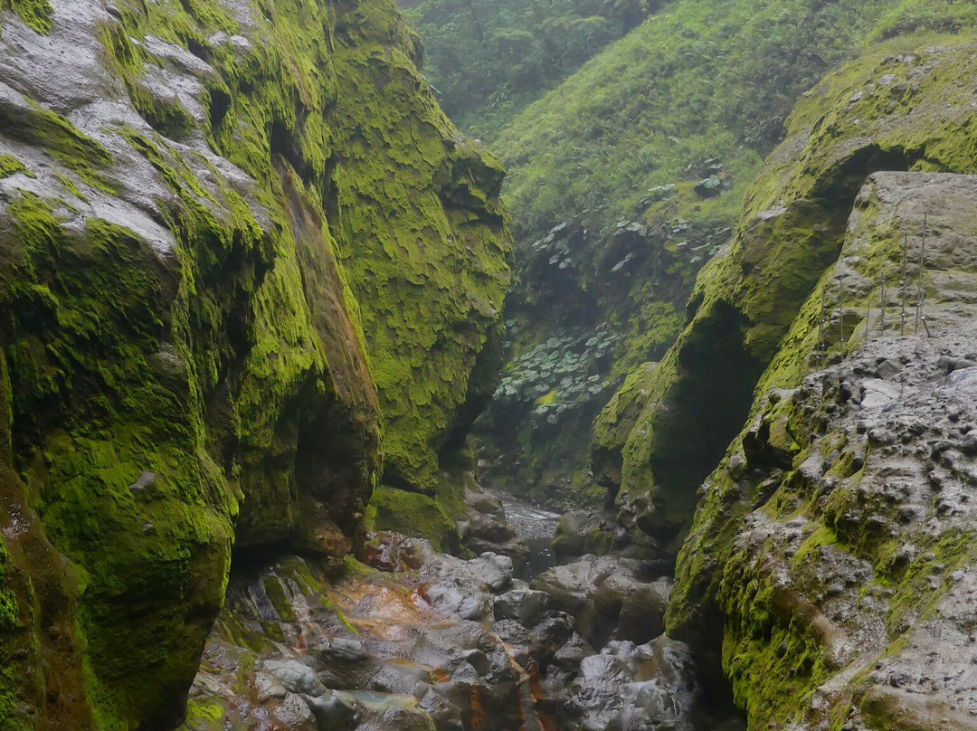 Blue Falls of Costa Rica景点图片